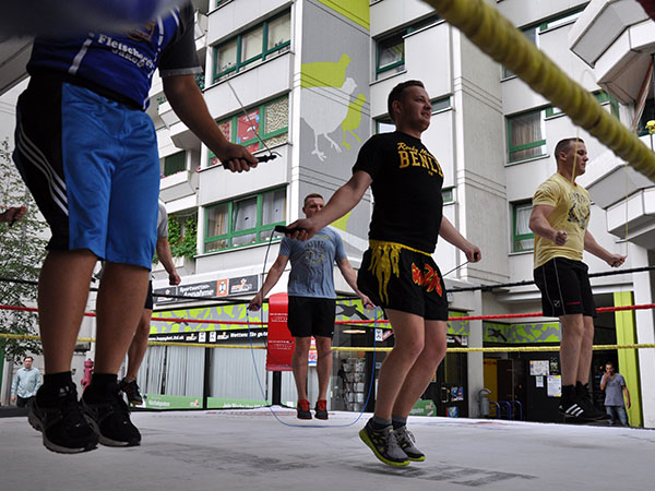 Sharks' Gym Boxcrew 1