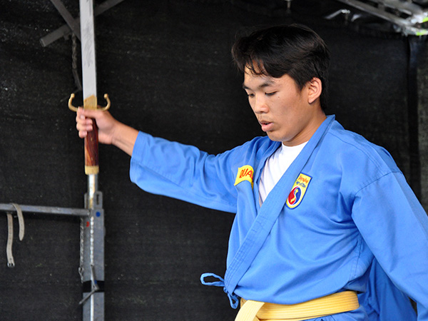 Vovinam Viet Vo Dao (2)