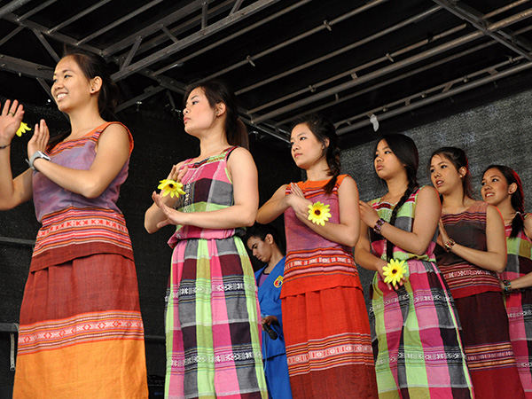 Vovinam Viet Vo Dao (3)