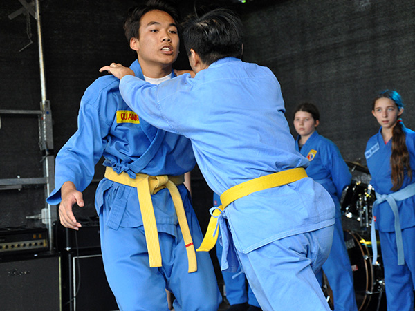 Vovinam Viet Vo Dao (5)
