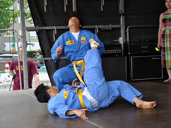 Vovinam Viet Vo Dao (6)