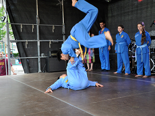 Vovinam Viet Vo Dao (7)