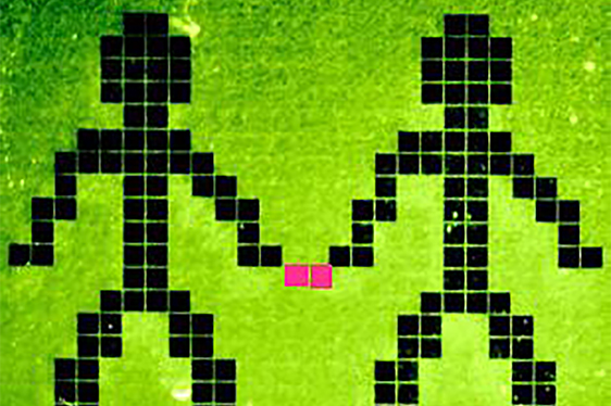 IdeA bei Digitalveranstaltung