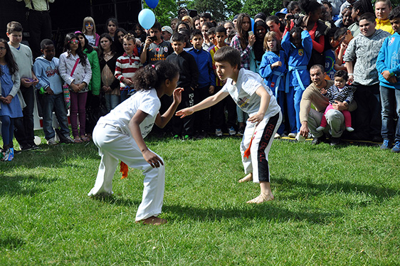 Echo-Artikel zur "Bunten Wiese" 2014 und Fotogalerie