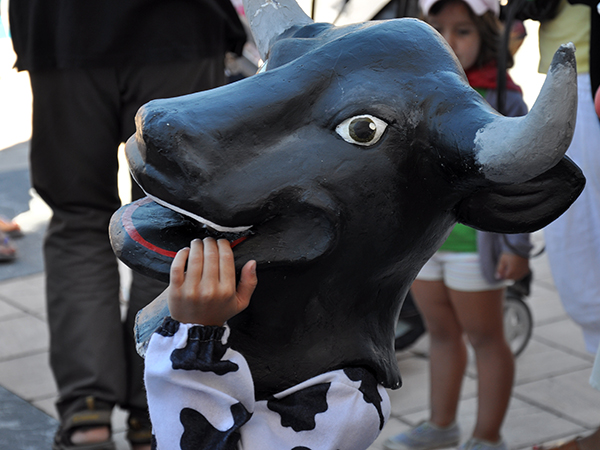 Fiesta de San Lorenzo Ezcaray 3 