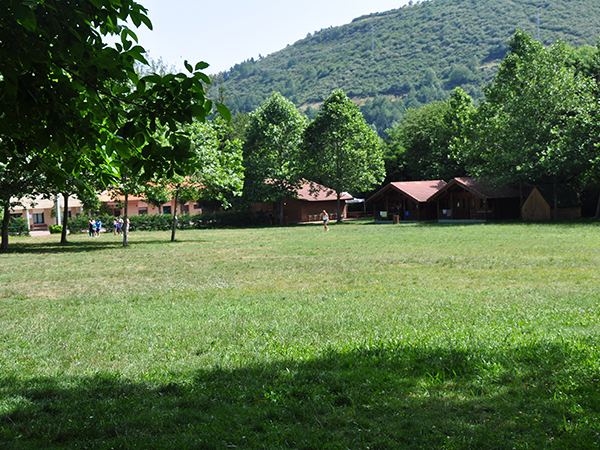 The Camp